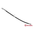 Flexible de frein BREMBO [T 83 124]