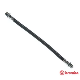 BREMBO T 83 151 - Flexible de frein