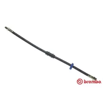 Flexible de frein BREMBO OEM 5986091