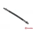 BREMBO T 85 017 - Flexible de frein