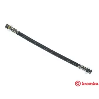 Flexible de frein BREMBO OEM 531258700
