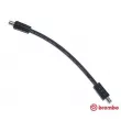 BREMBO T 85 040 - Flexible de frein