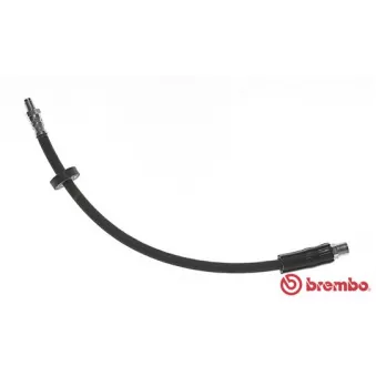 Flexible de frein BREMBO OEM 443611707C