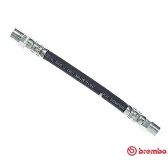 Flexible de frein BREMBO OEM 811611775A