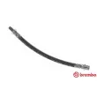 BREMBO T 85 065 - Flexible de frein