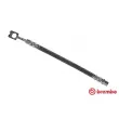 BREMBO T 85 068 - Flexible de frein