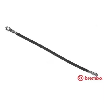 Flexible de frein BREMBO OEM 110595610