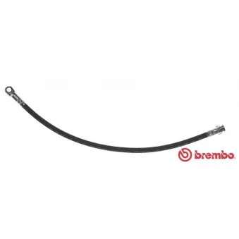 BREMBO T 85 083 - Flexible de frein