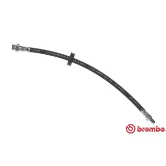 BREMBO T 85 086 - Flexible de frein