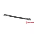 BREMBO T 85 090 - Flexible de frein