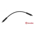 Flexible de frein BREMBO [T 85 102]