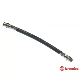 Flexible de frein BREMBO OEM 8Z0611775A