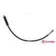 BREMBO T 85 113 - Flexible de frein