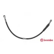 BREMBO T 85 128 - Flexible de frein