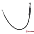 BREMBO T 85 141 - Flexible de frein