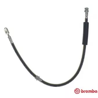 Flexible de frein BREMBO OEM 8J0611701C