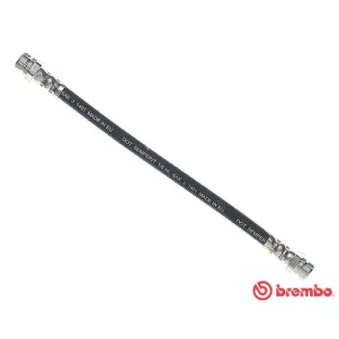 BREMBO T 85 147 - Flexible de frein