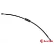 BREMBO T 85 148 - Flexible de frein