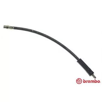 Flexible de frein BREMBO OEM 34304089