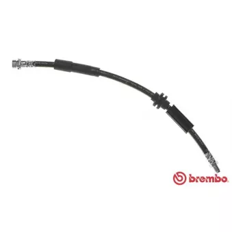 BREMBO T 86 025 - Flexible de frein