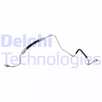 DELPHI LH7636 - Flexible de frein
