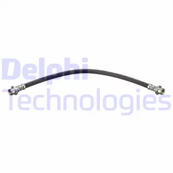 DELPHI LH7685 - Flexible de frein