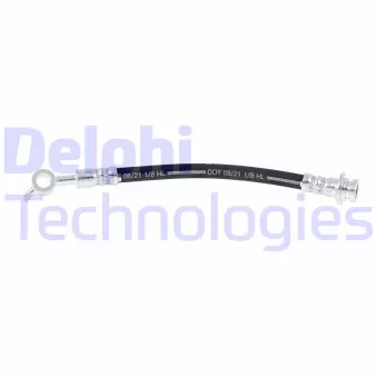 DELPHI LH7876 - Flexible de frein