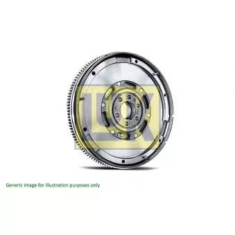 Volant moteur LUK OEM 12310AW400