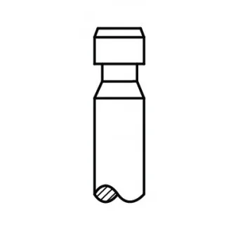 Soupape d'admission AE V90374