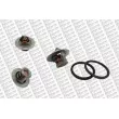 Storm 199024 - Thermostat, liquide de refroidissement