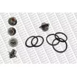 Storm 199026 - Thermostat, liquide de refroidissement