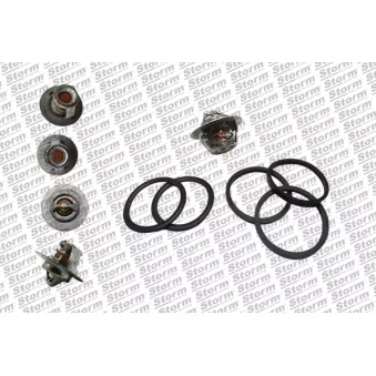 Thermostat, liquide de refroidissement Storm OEM 133727