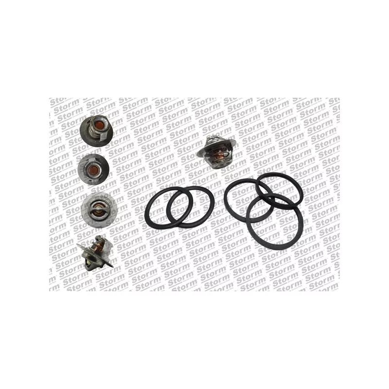 Thermostat, liquide de refroidissement Storm 199026 - Visuel 1