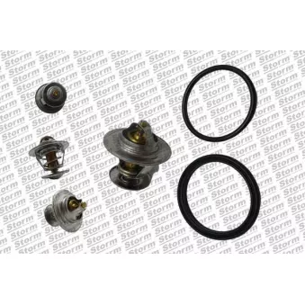 Thermostat, liquide de refroidissement Storm OEM 044121113
