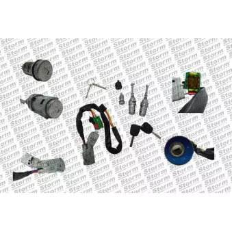 Cylindre de serrure Storm OEM 4162AG