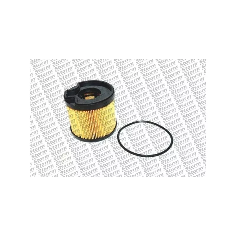 Filtre à carburant Storm 3889 - Visuel 1