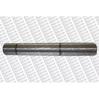 Support moteur Storm OEM 8200411257