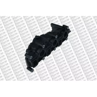 Module de tube d'admission Storm OEM 059129711BF