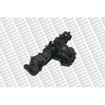 Module de tube d'admission Storm OEM BK2Q9424CD