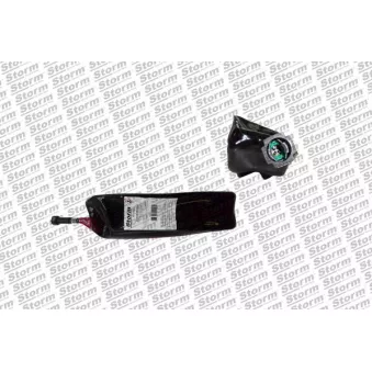 Additif au carburant Storm OEM 9678033680