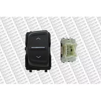 Interrupteur, lève-vitre Storm OEM 254214937R