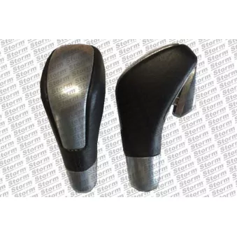 Pommeau Storm OEM 8200806099