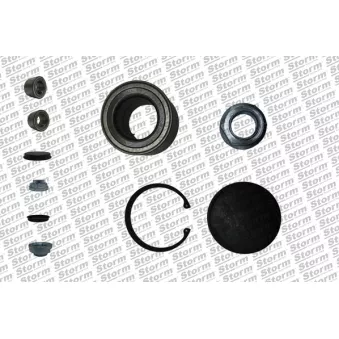 Roulement de roue arrière Storm OEM 4321000QAB