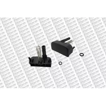 Serrure de porte Storm OEM 8200060917
