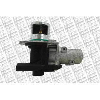Vanne EGR Storm OEM 1471000Q0G