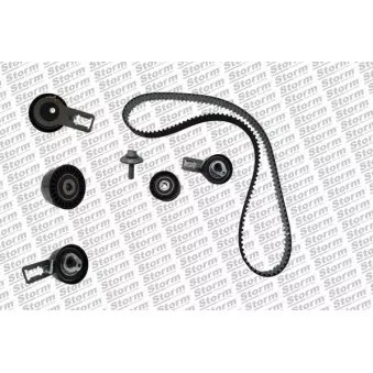 Kit de distribution Storm OEM 831W3