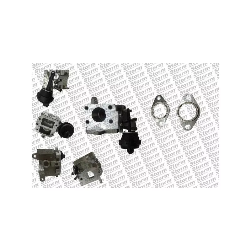 Vanne EGR Storm 9096 - Visuel 1