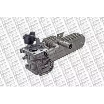 Radiateur, réaspiration des gaz d'échappement Storm OEM 03g131063b