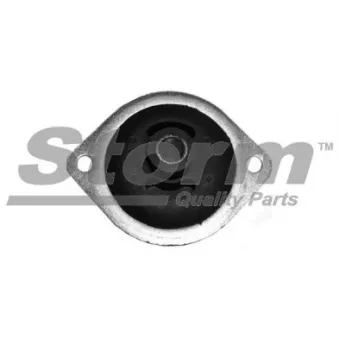 Support moteur Storm OEM 4465998