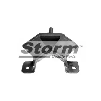 Support moteur Storm OEM 7704001317